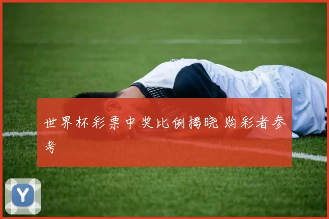 世界杯彩票中奖比例揭晓 购彩者参考