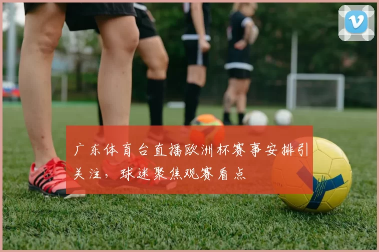 广东体育台直播欧洲杯赛事安排引关注，球迷聚焦观赛看点