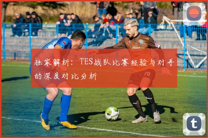独家解析：TES战队比赛经验与对手的深度对比分析
