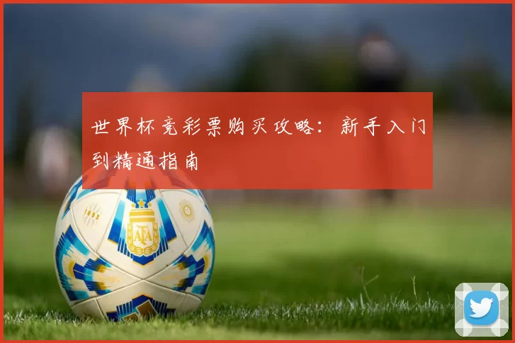 世界杯竞彩票购买攻略：新手入门到精通指南