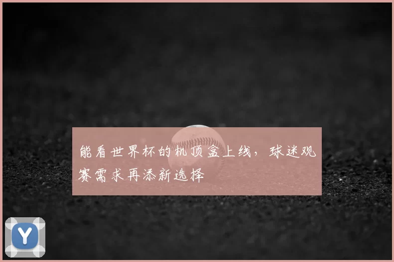 能看世界杯的机顶盒上线，球迷观赛需求再添新选择