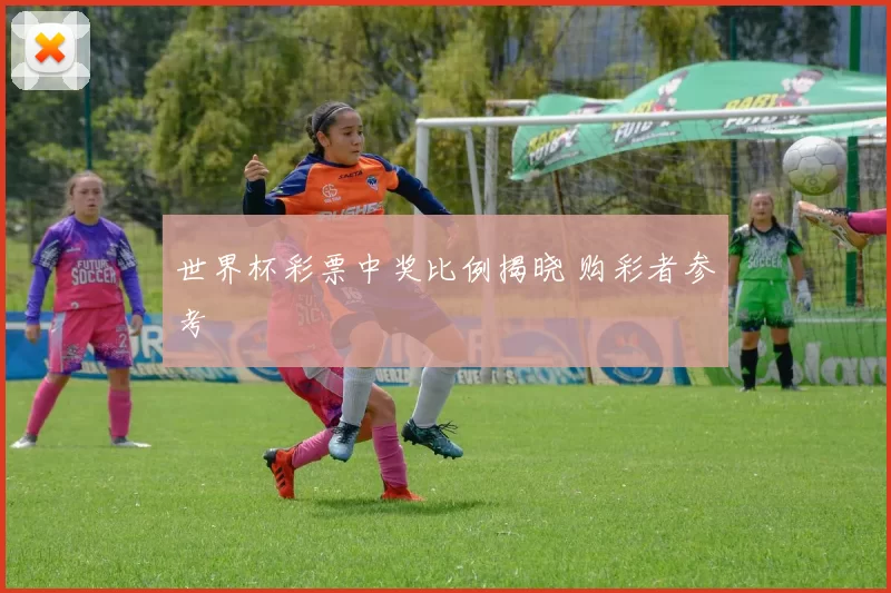 世界杯彩票中奖比例揭晓 购彩者参考
