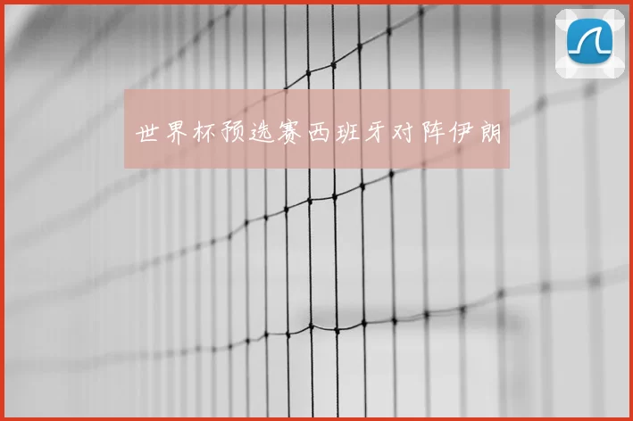 世界杯预选赛西班牙对阵伊朗