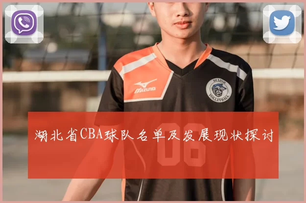 湖北省CBA球队名单及发展现状探讨