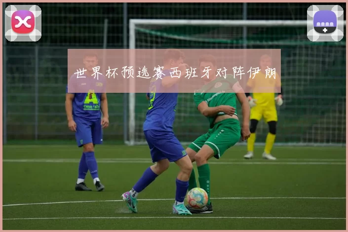 世界杯预选赛西班牙对阵伊朗