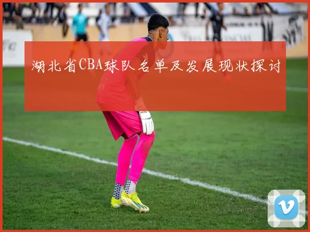 湖北省CBA球队名单及发展现状探讨