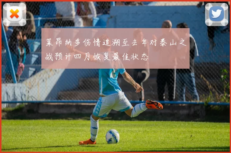 莱昂纳多伤情追溯至去年对泰山之战预计四月恢复最佳状态