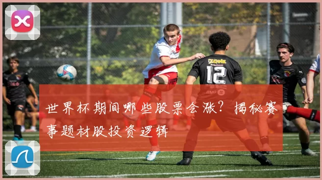 世界杯期间哪些股票会涨?揭秘赛事题材股投资逻辑