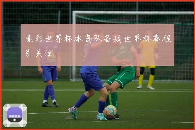 竞彩世界杯冰岛队备战世界杯赛程引关注