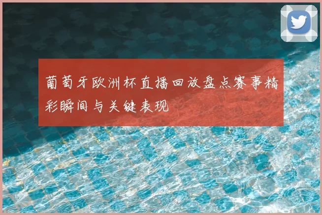 葡萄牙欧洲杯直播回放盘点赛事精彩瞬间与关键表现
