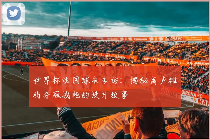 世界杯法国球衣专访：揭秘高卢雄鸡夺冠战袍的设计故事