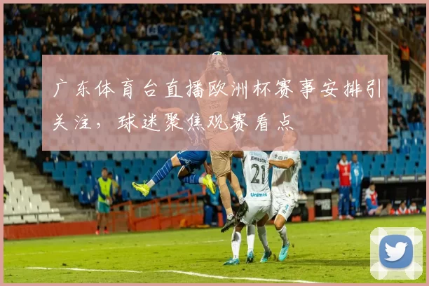 广东体育台直播欧洲杯赛事安排引关注，球迷聚焦观赛看点