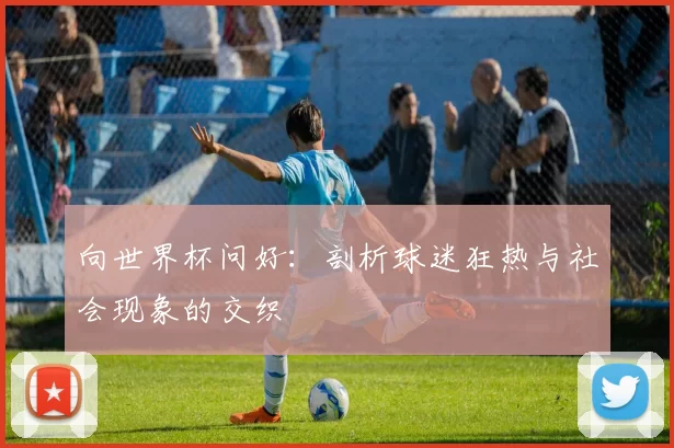 向世界杯问好：剖析球迷狂热与社会现象的交织