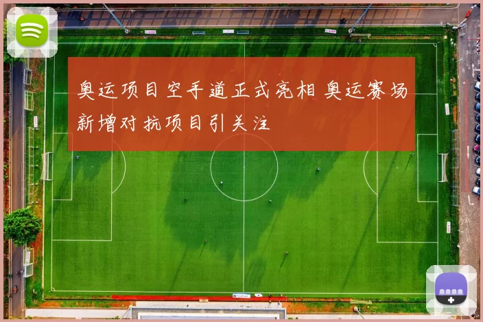 奥运项目空手道正式亮相 奥运赛场新增对抗项目引关注