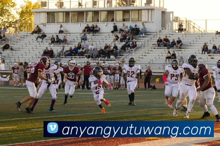 爱游戏体育品牌故事