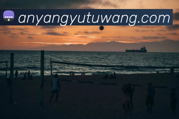 爱游戏体育服务体系